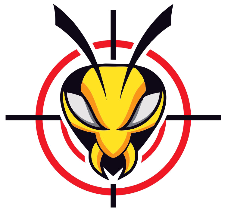 Logo D.F.G