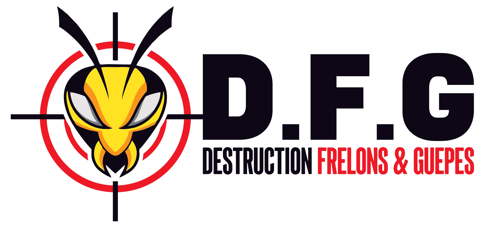 Logo D.F.G